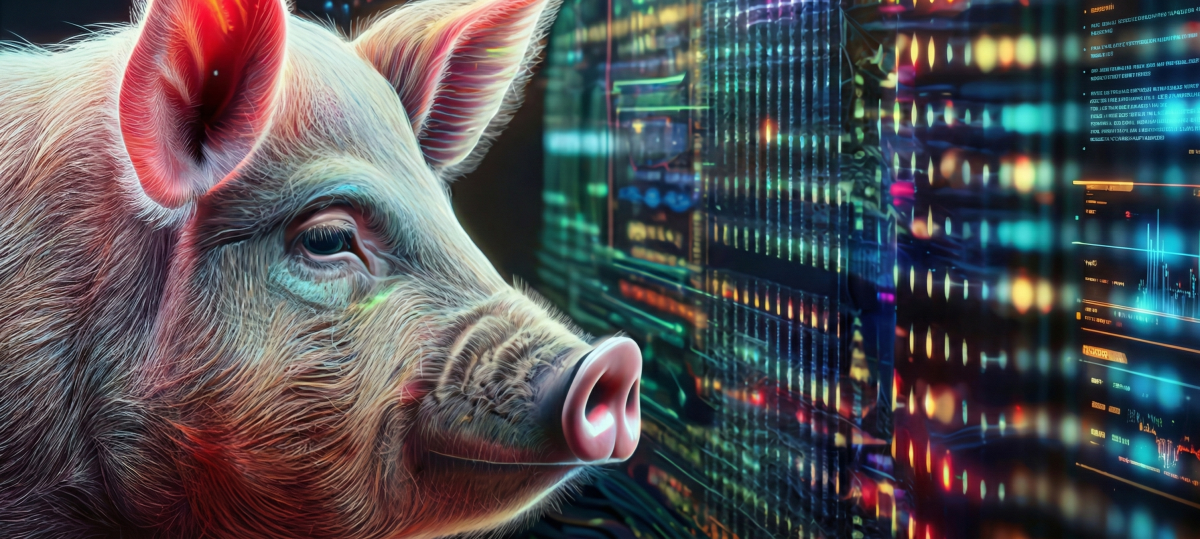 Pig beside a digital data interface representing a livestock digital twin